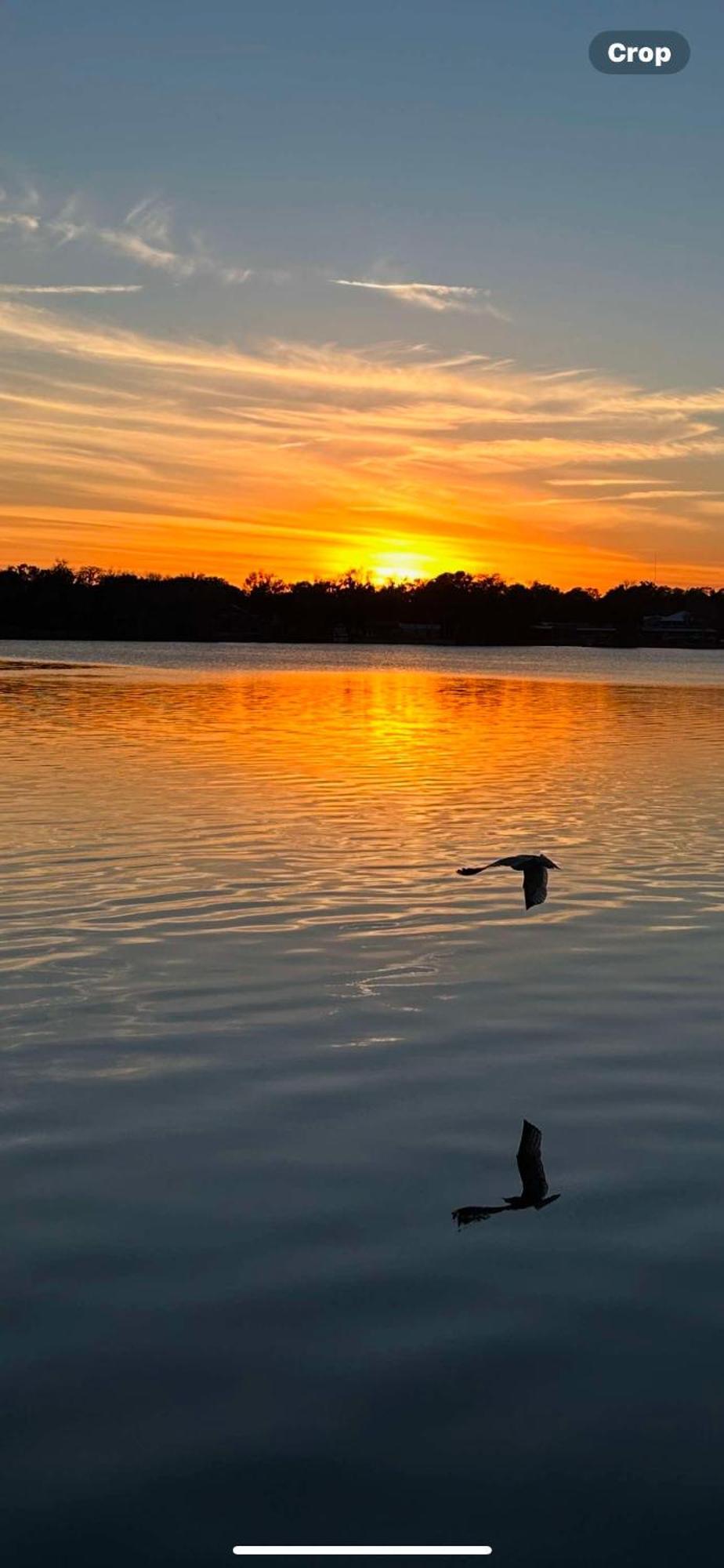 Resort Tropical Marina & On Beresford DeLand
