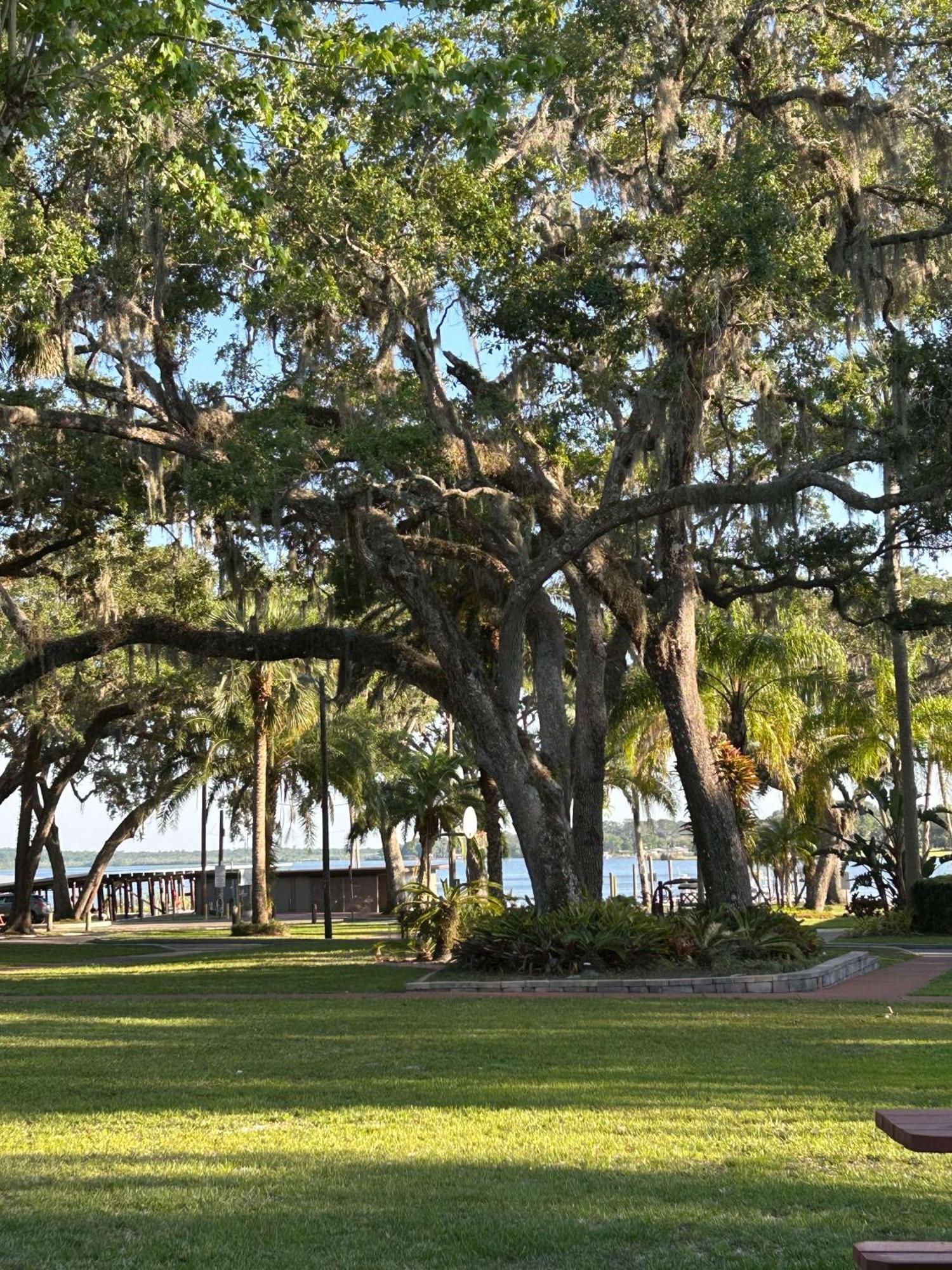 Tropical Marina & On Beresford Resort